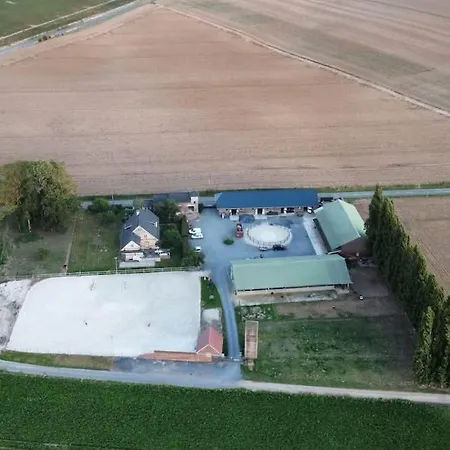 Au Coeur D'une Ecurie De Proprietaire Ecoust-Saint-Mein